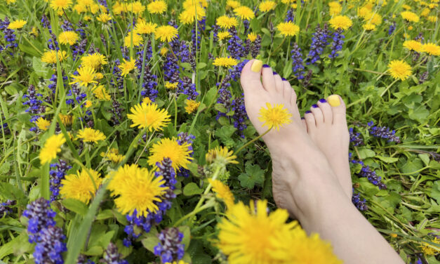 Le Printemps est là : et Si vous faisiez peau neuve ?